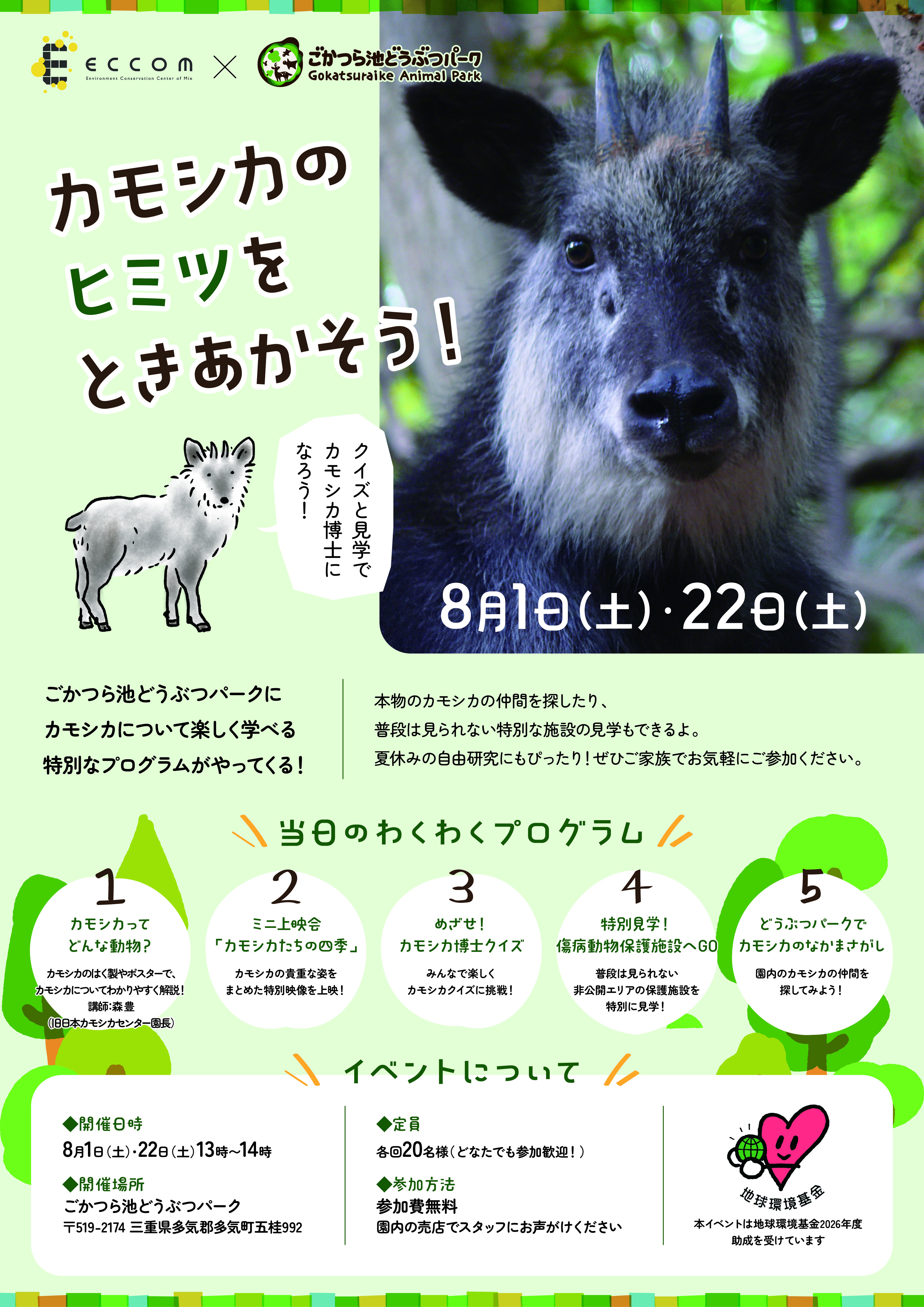夏休み特別企画「カモシカのヒミツをときあかそう!」